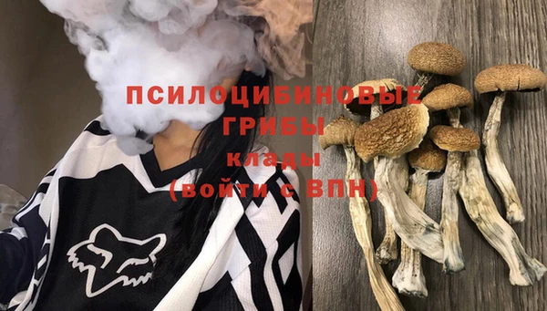 дурь Липки