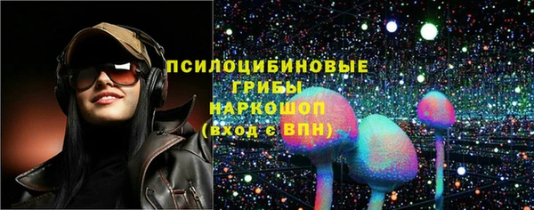 прущие грибы Лихославль