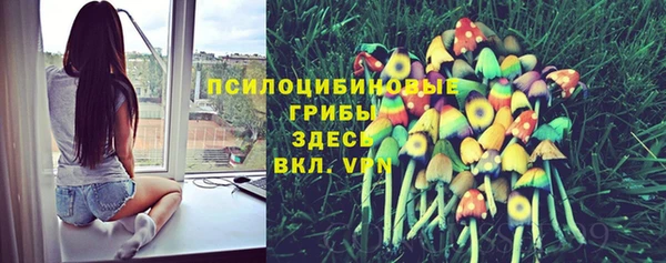мдма Ладушкин
