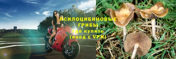 дурь Липки