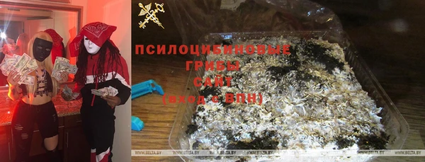 прущие грибы Лихославль