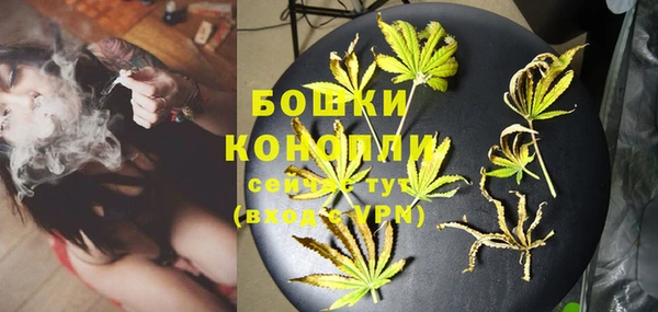 прущие грибы Лихославль