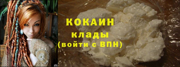 прущие грибы Лихославль