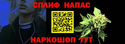 гидра Обь